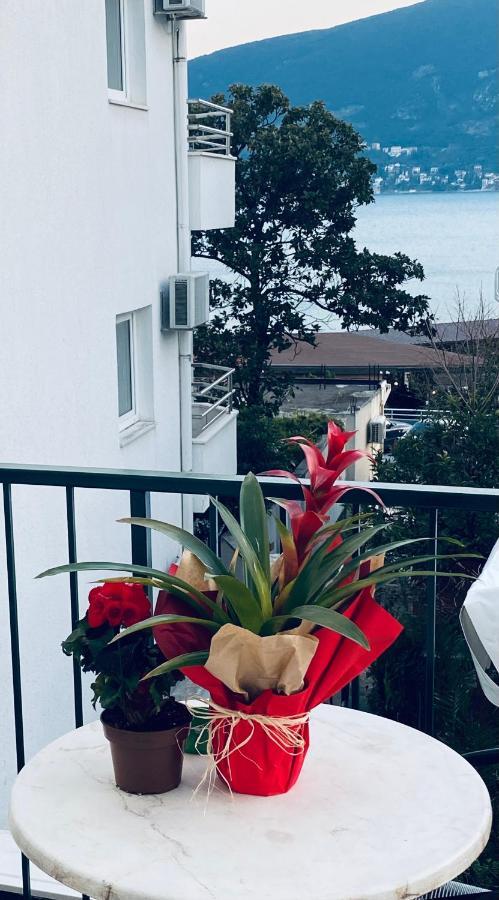 Solar Apartments Herceg Novi Eksteriør bilde